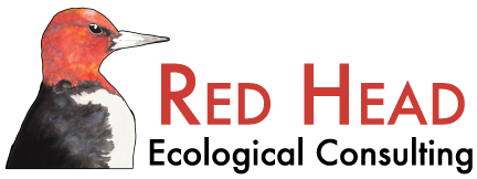 Red Head Ecological Consulting